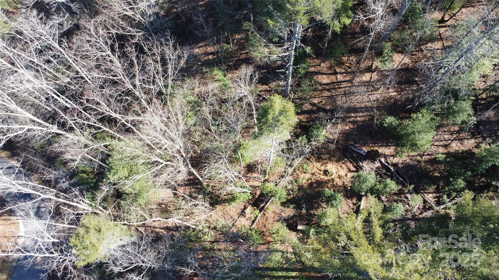 444 Dockside Drive Nebo NC 28761