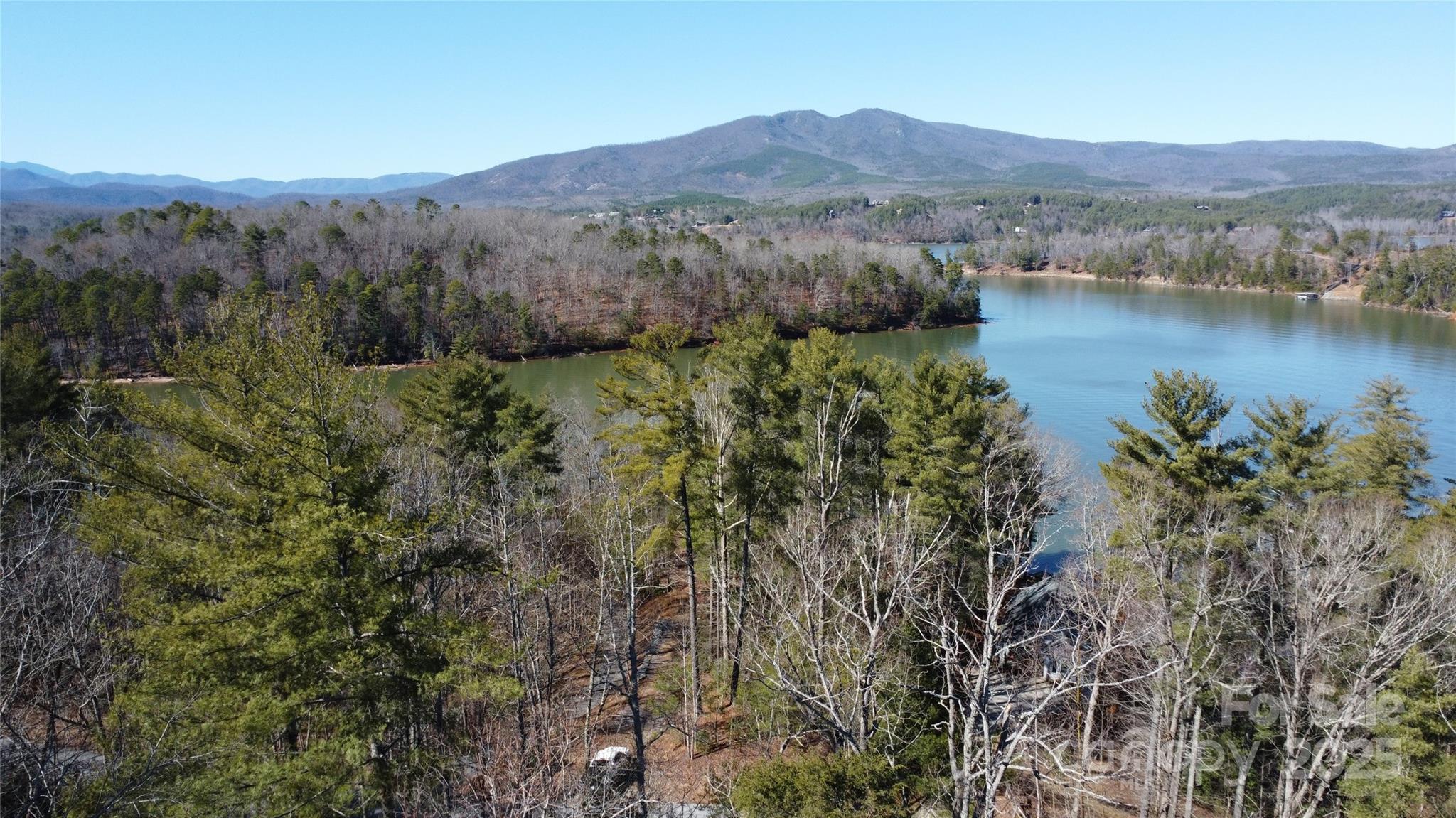 444 Dockside Drive Nebo NC 28761