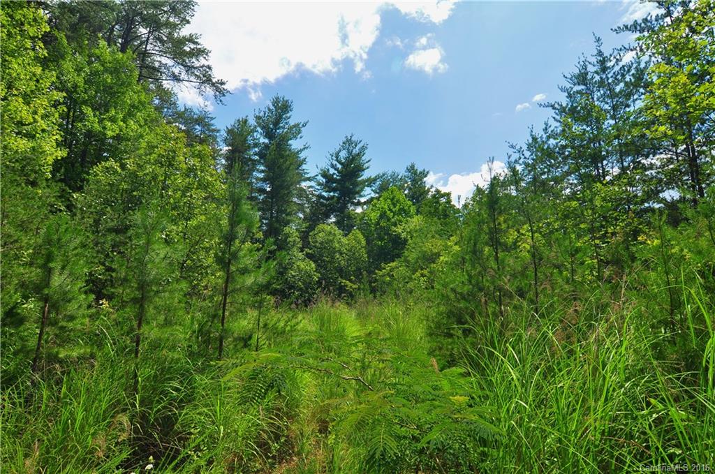 25 Northstar Trail Weaverville NC 28787