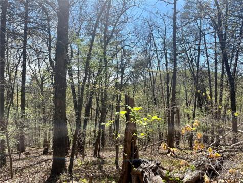 0 Pilgrim Church Road Hiddenite NC 28636