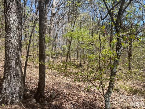 0 Pilgrim Church Road Hiddenite NC 28636