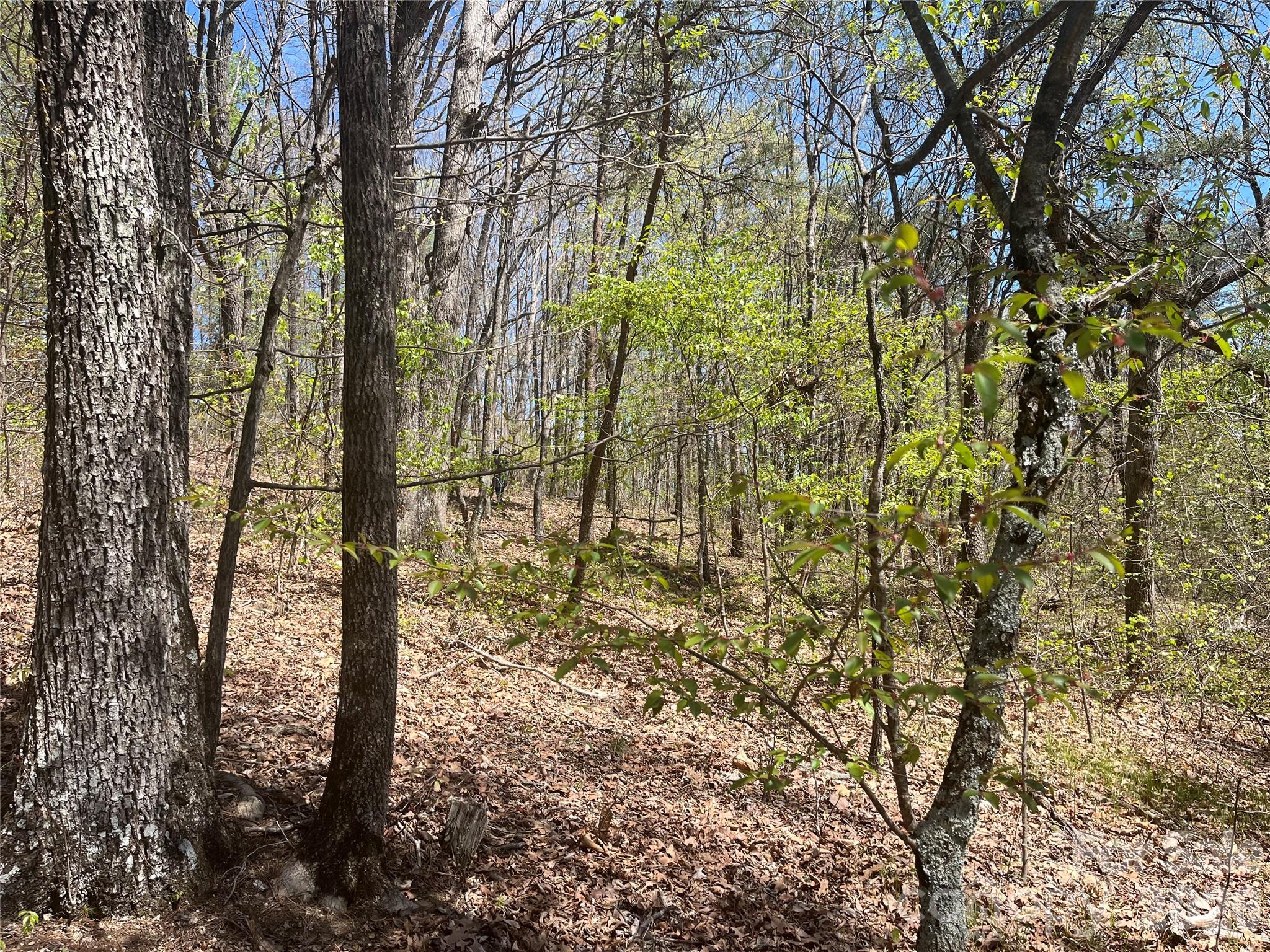 0 Pilgrim Church Road Hiddenite NC 28636