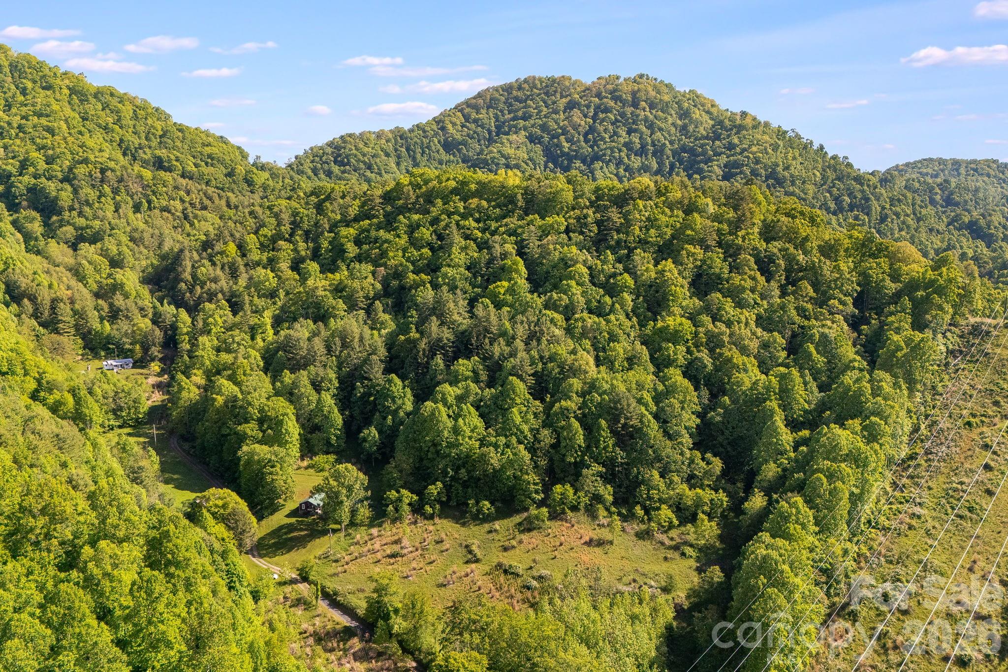 130 Black Crow Road Burnsville NC 28714