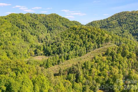 130 Black Crow Road Burnsville NC 28714