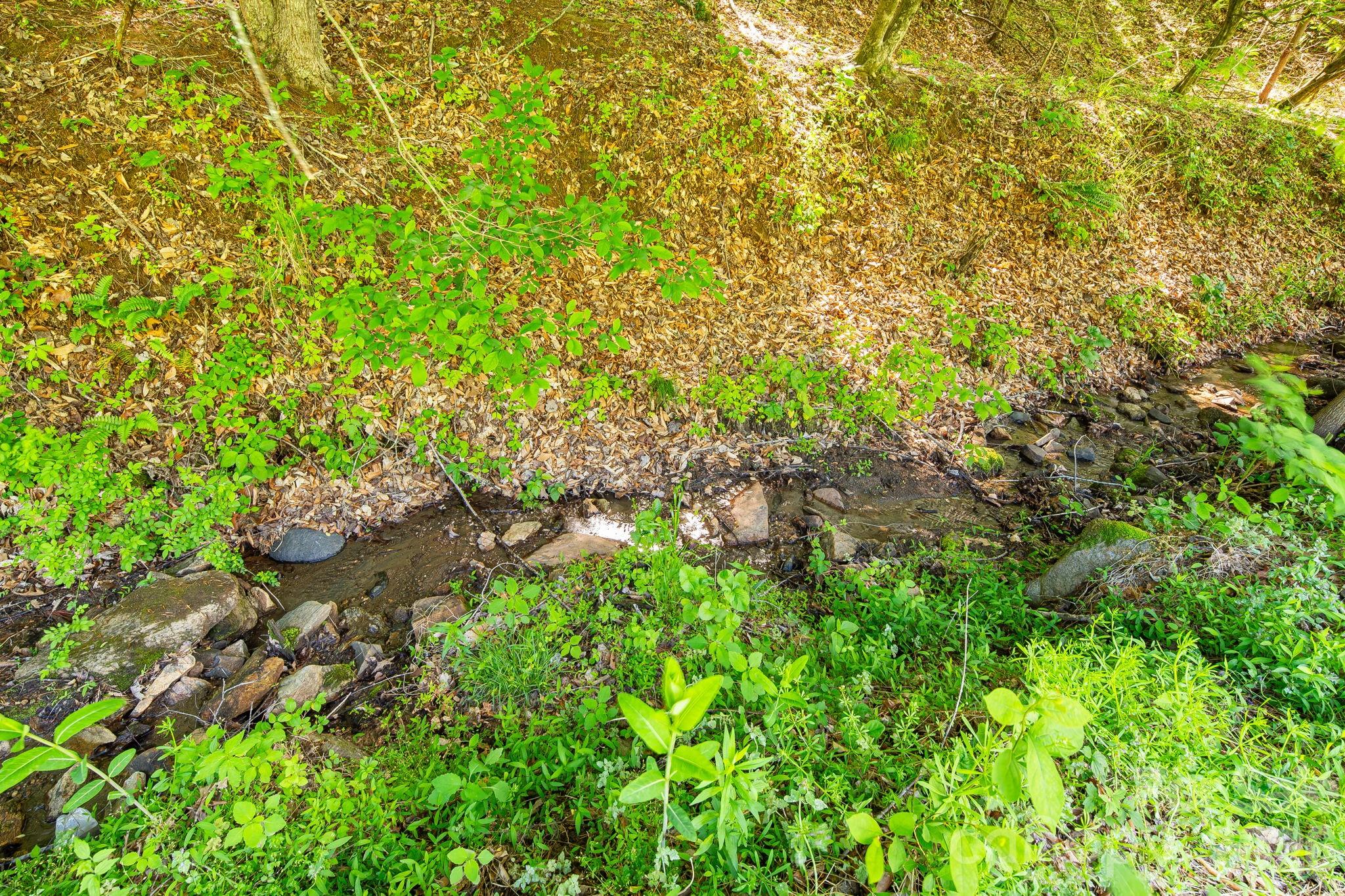 130 Black Crow Road Burnsville NC 28714