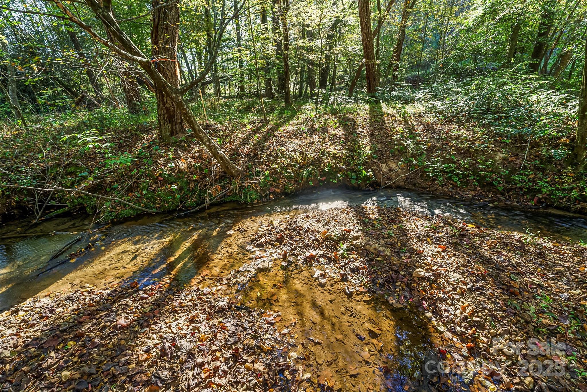 Land 96 Patton Valley Drive Nebo NC 28761