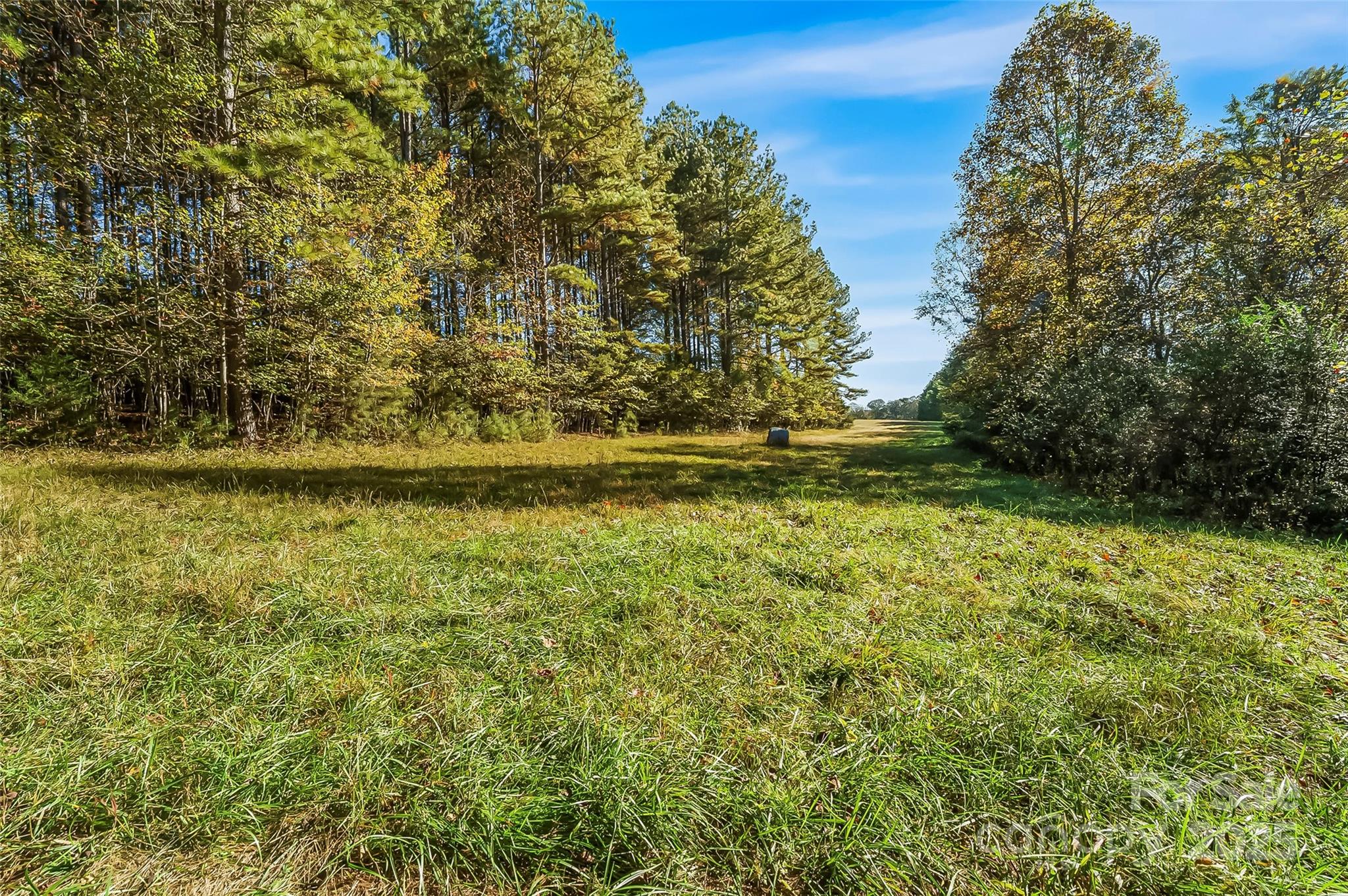 Land 96 Patton Valley Drive Nebo NC 28761