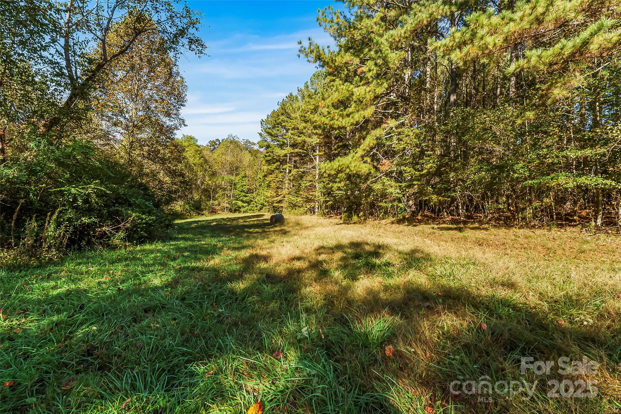 Land 96 Patton Valley Drive Nebo NC 28761