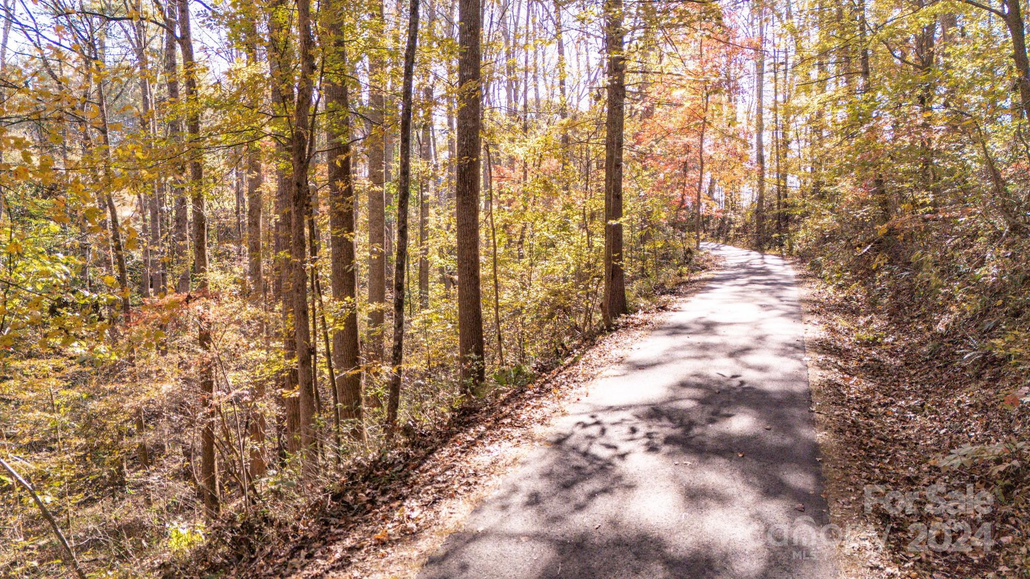 00 N Pinnacle Drive Weaverville NC 28787