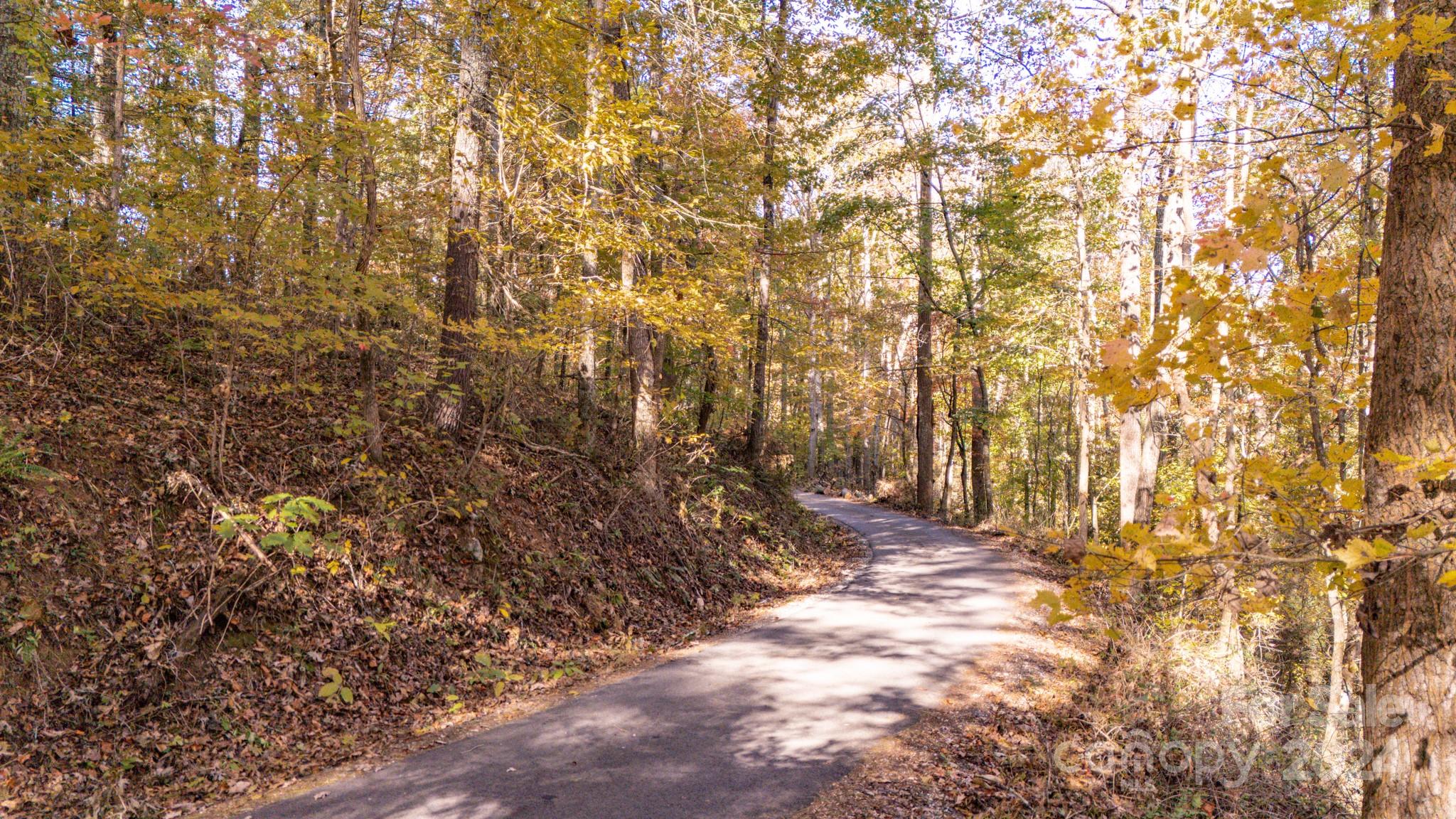 00 N Pinnacle Drive Weaverville NC 28787