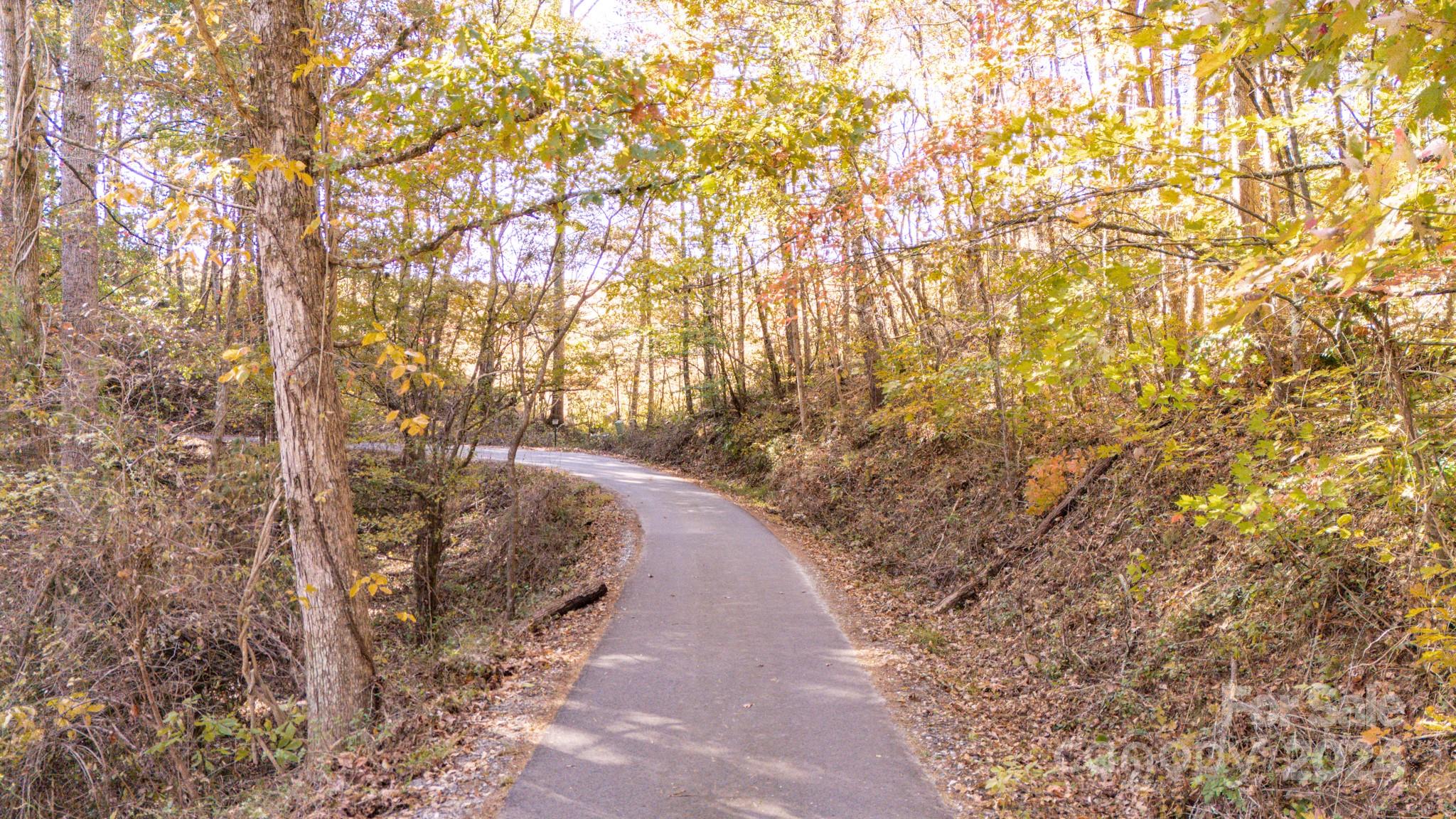 00 N Pinnacle Drive Weaverville NC 28787
