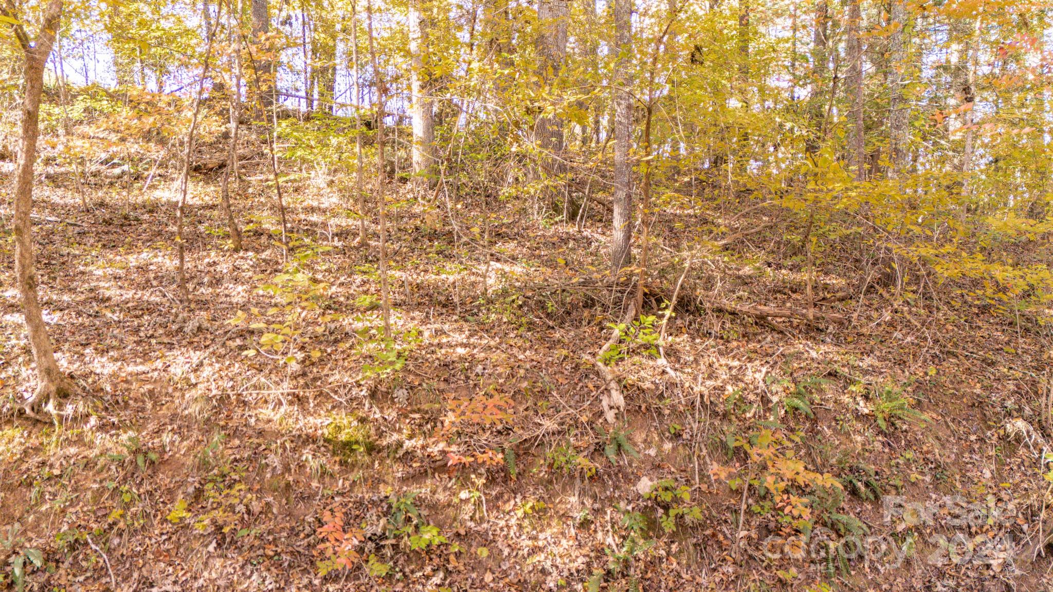 00 N Pinnacle Drive Weaverville NC 28787