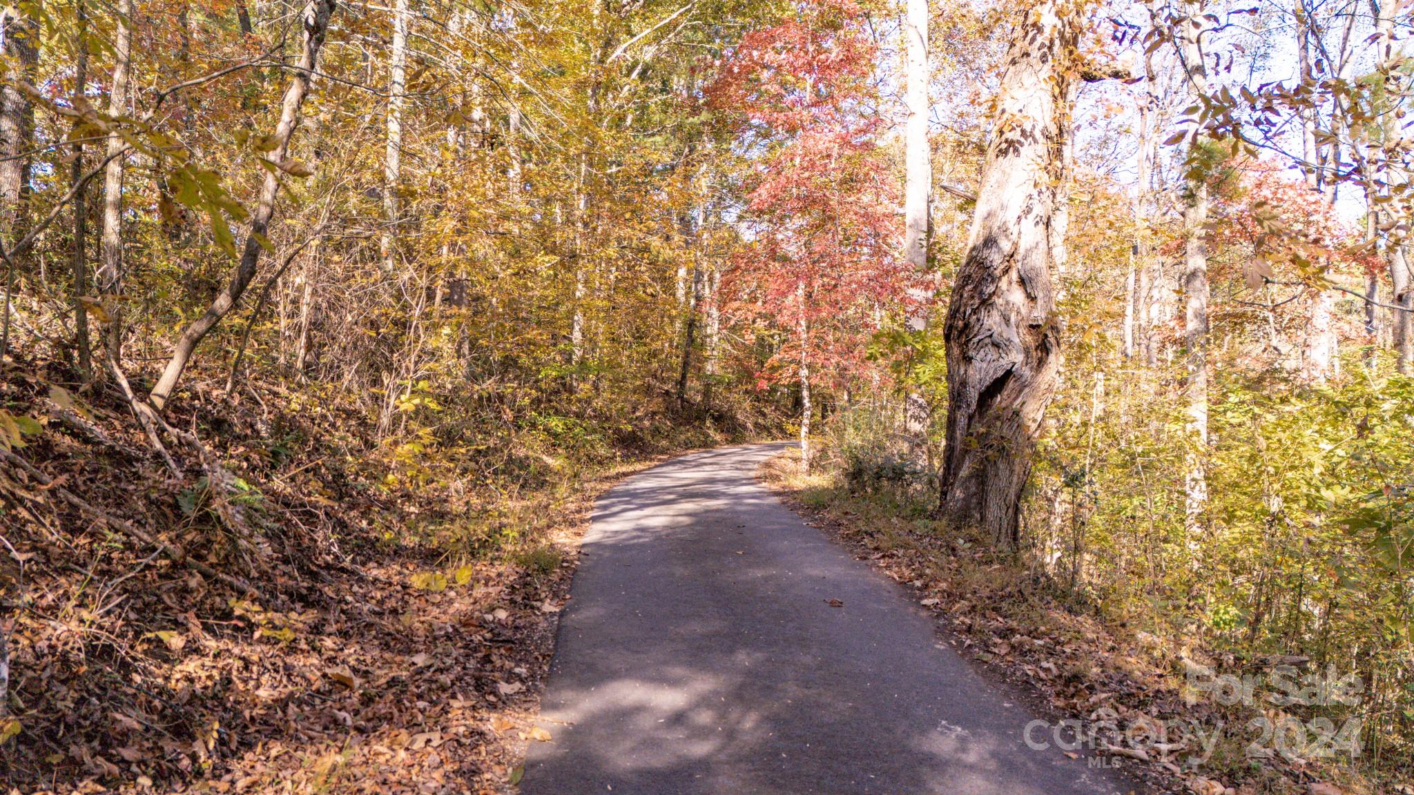 00 N Pinnacle Drive Weaverville NC 28787