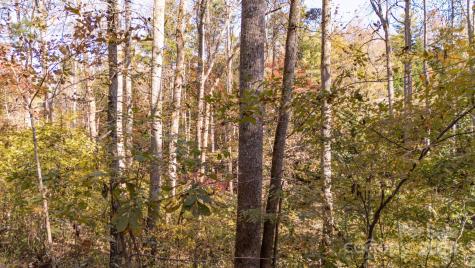 00 N Pinnacle Drive Weaverville NC 28787
