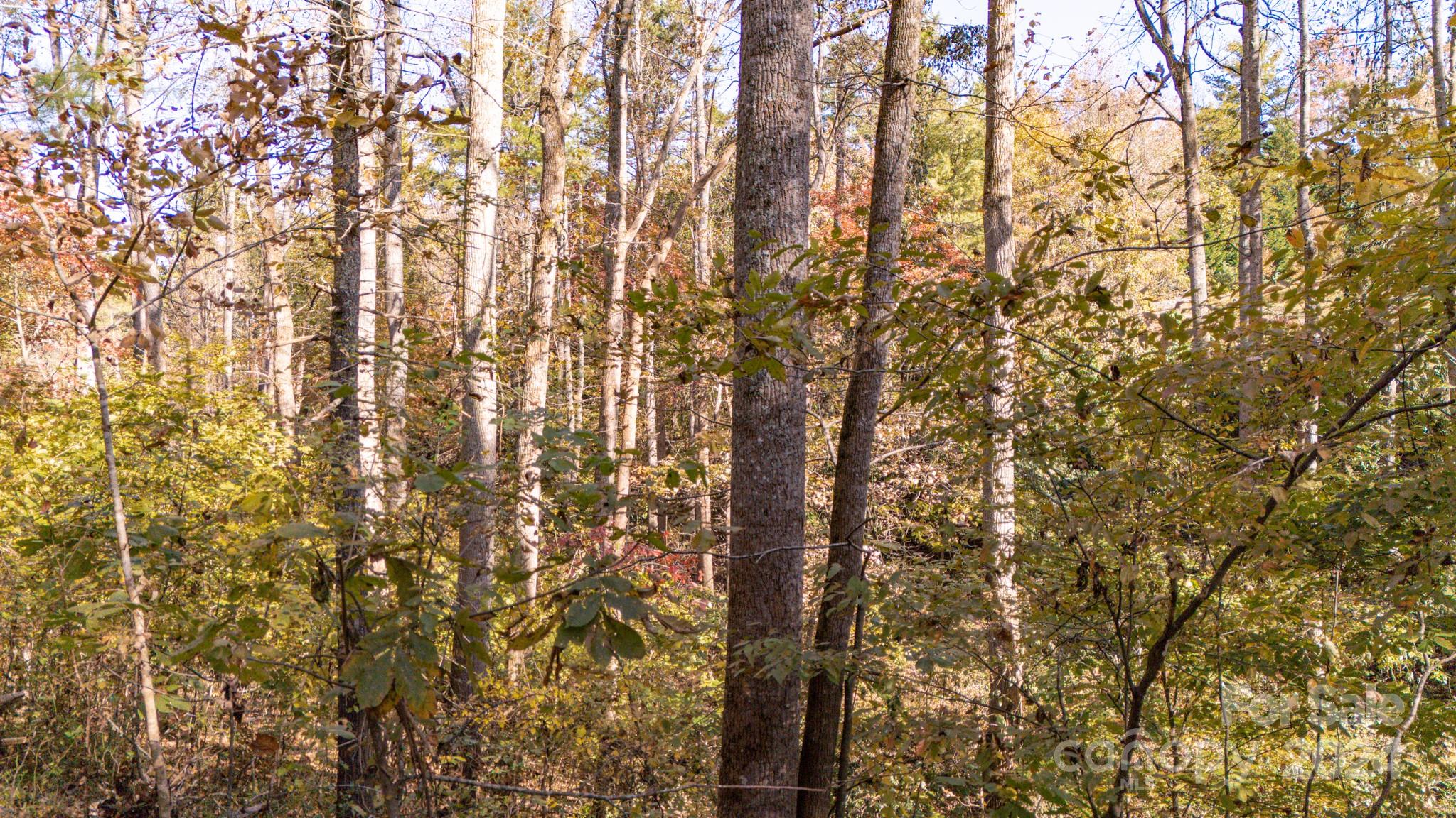 00 N Pinnacle Drive Weaverville NC 28787