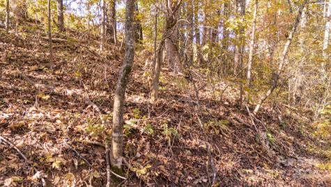 00 N Pinnacle Drive Weaverville NC 28787