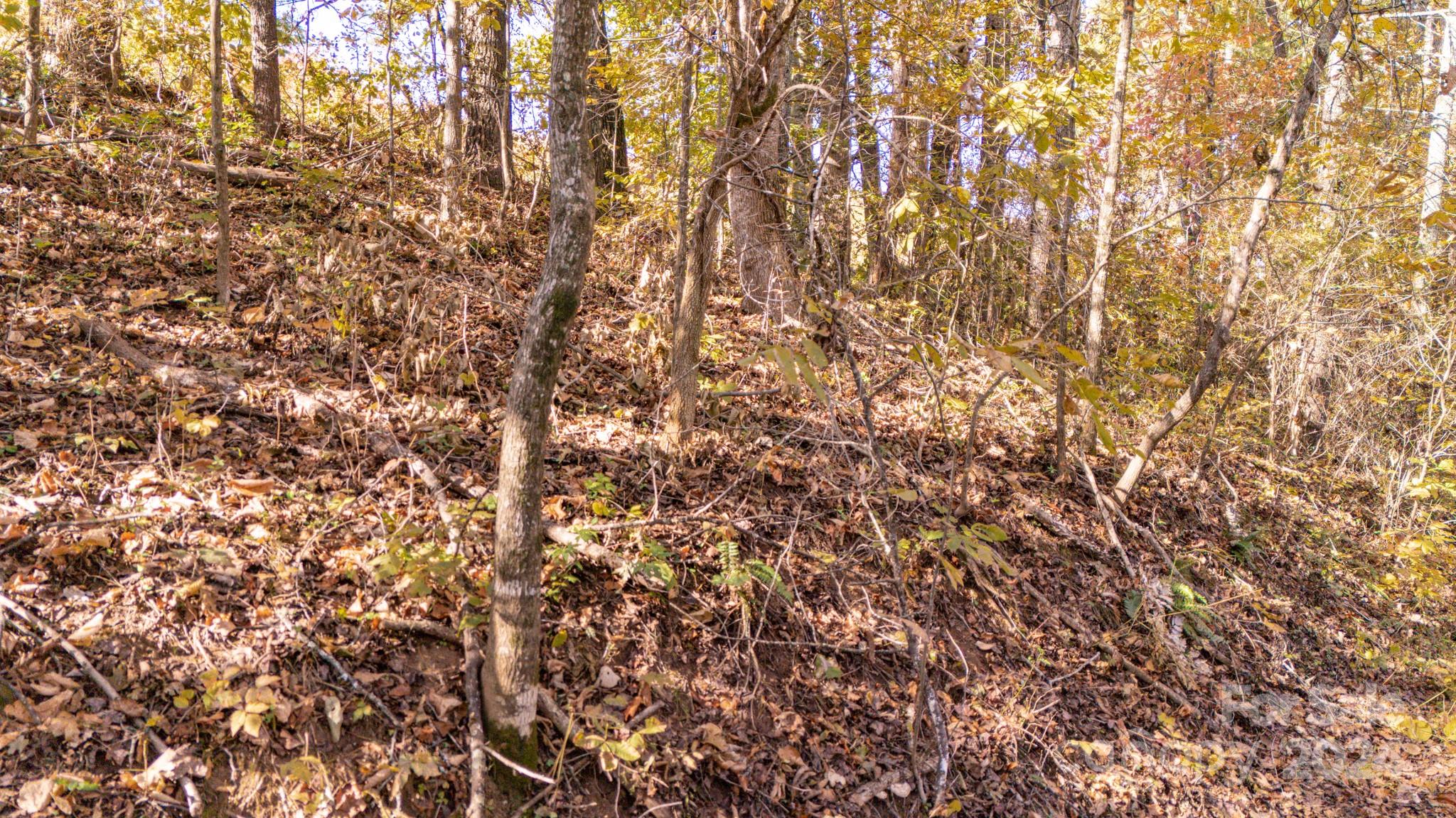 00 N Pinnacle Drive Weaverville NC 28787