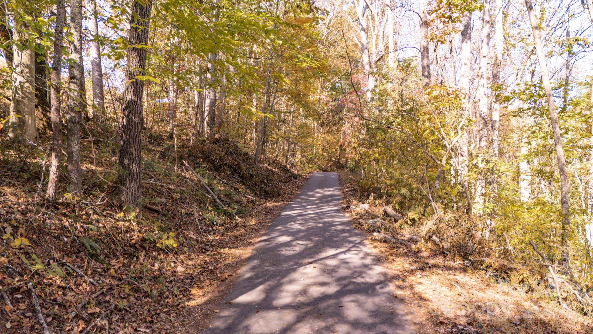 00 N Pinnacle Drive Weaverville NC 28787
