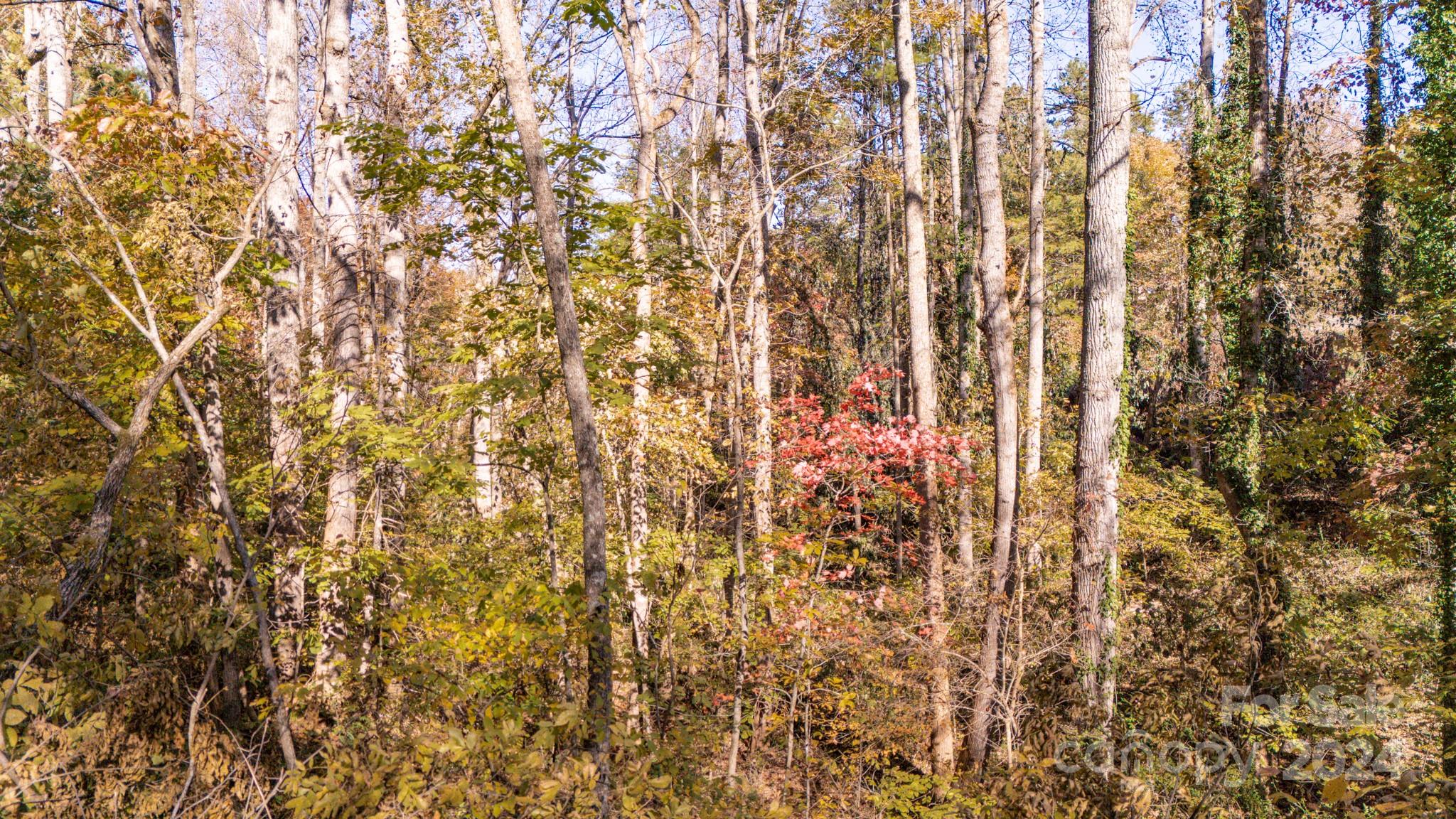 00 N Pinnacle Drive Weaverville NC 28787