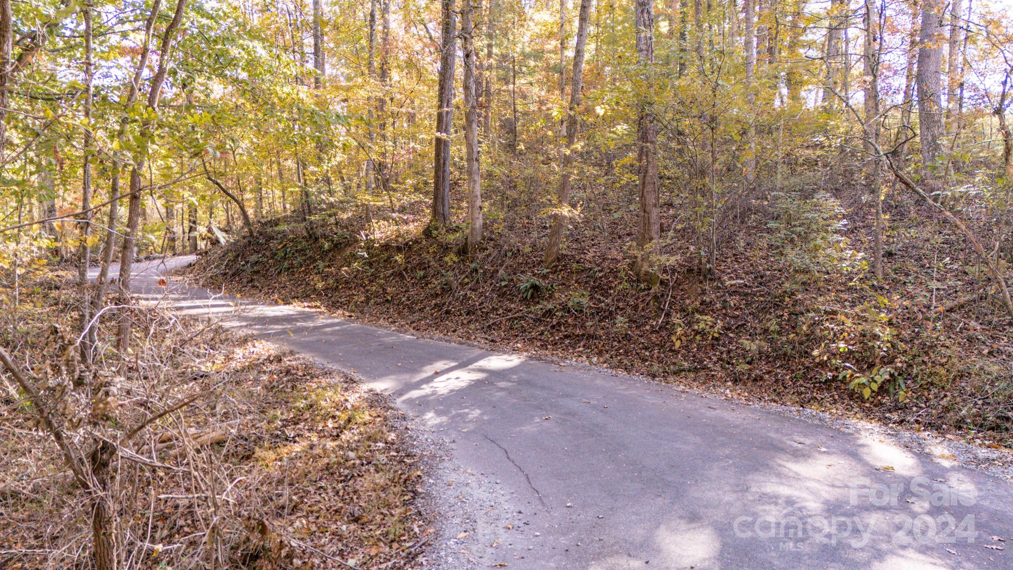 00 N Pinnacle Drive Weaverville NC 28787