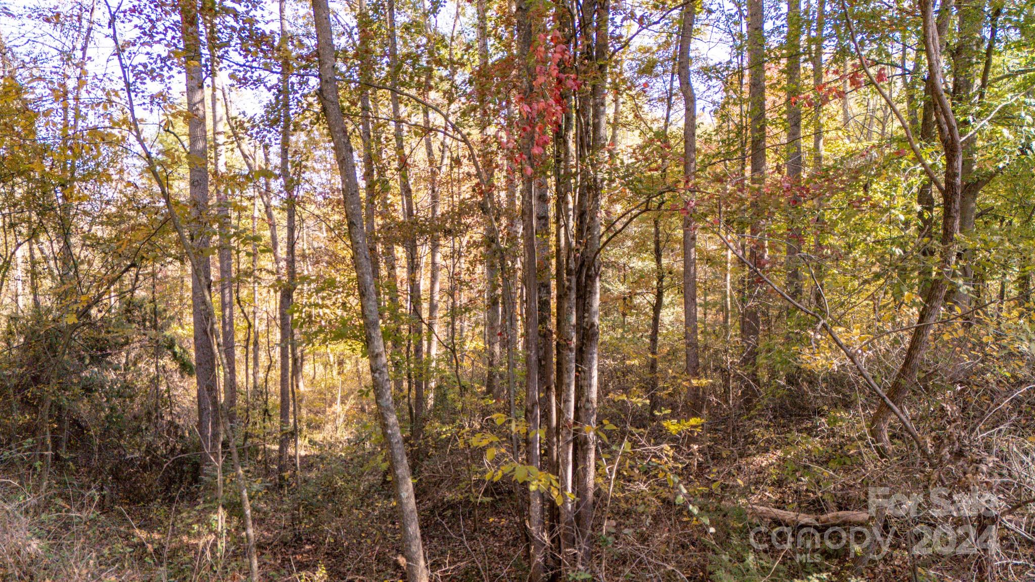 00 N Pinnacle Drive Weaverville NC 28787