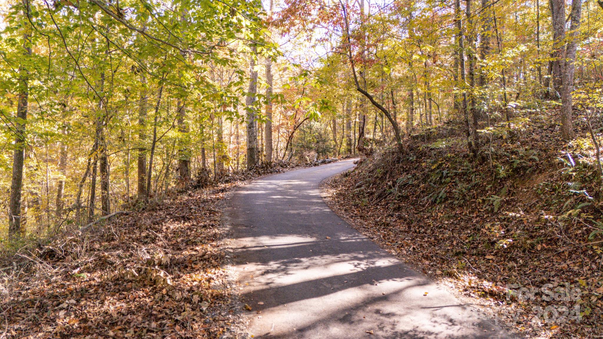 00 N Pinnacle Drive Weaverville NC 28787