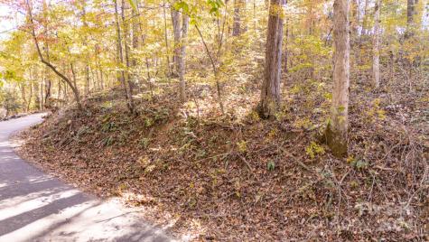 00 N Pinnacle Drive Weaverville NC 28787