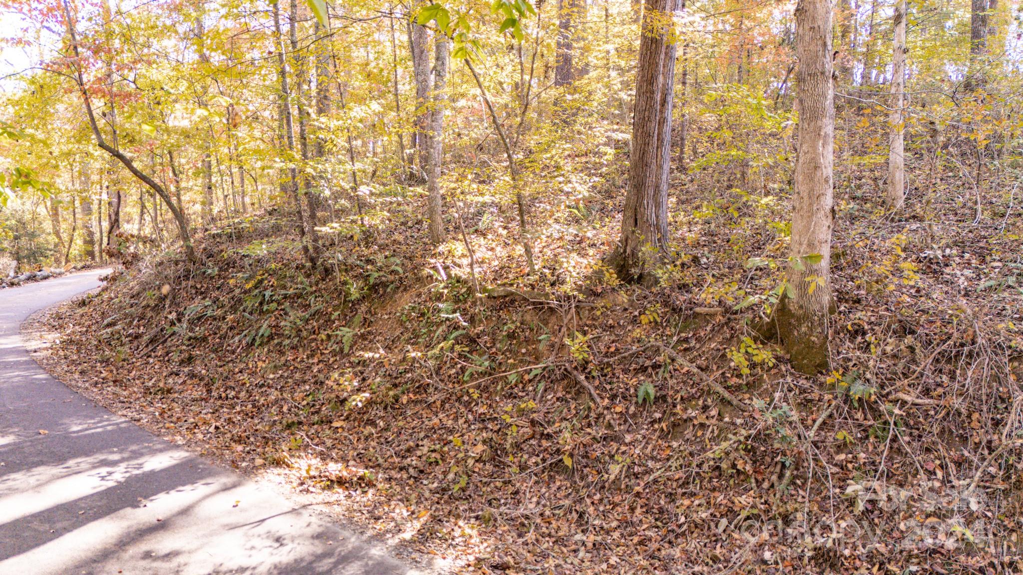 00 N Pinnacle Drive Weaverville NC 28787