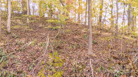 00 N Pinnacle Drive Weaverville NC 28787