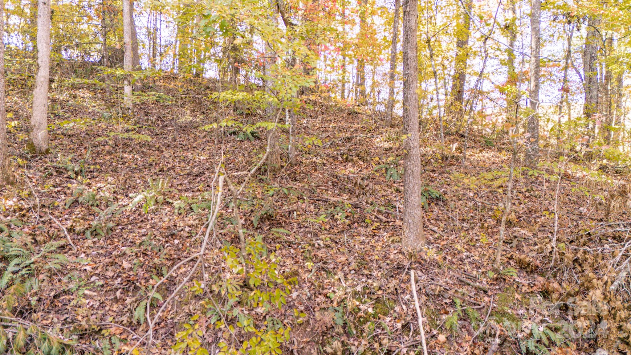 00 N Pinnacle Drive Weaverville NC 28787