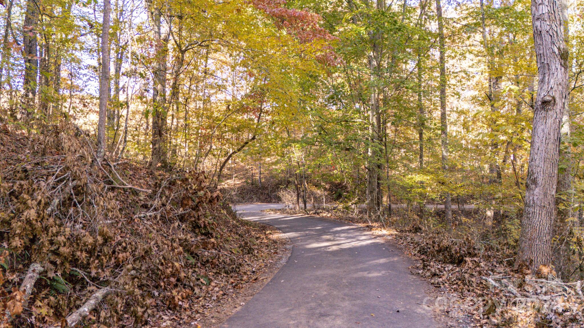00 N Pinnacle Drive Weaverville NC 28787