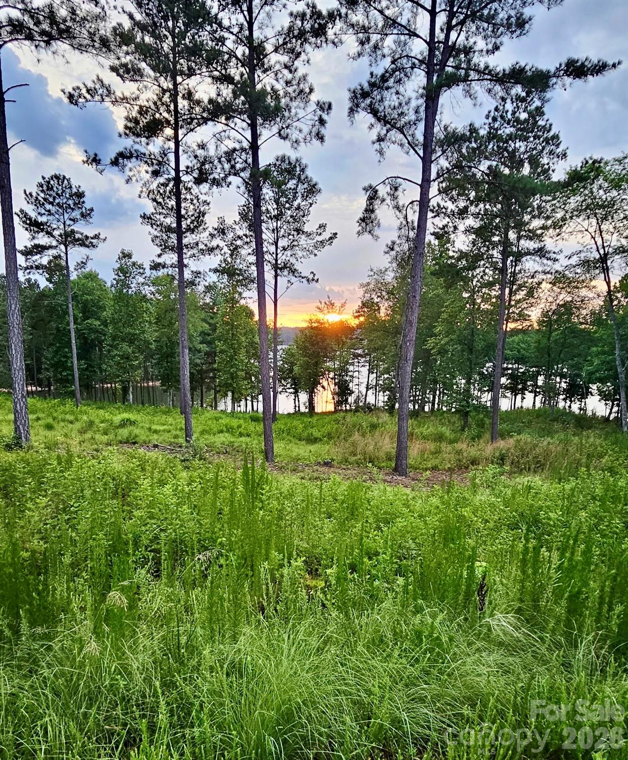 3067 Jumping Run Connelly Springs NC 28612