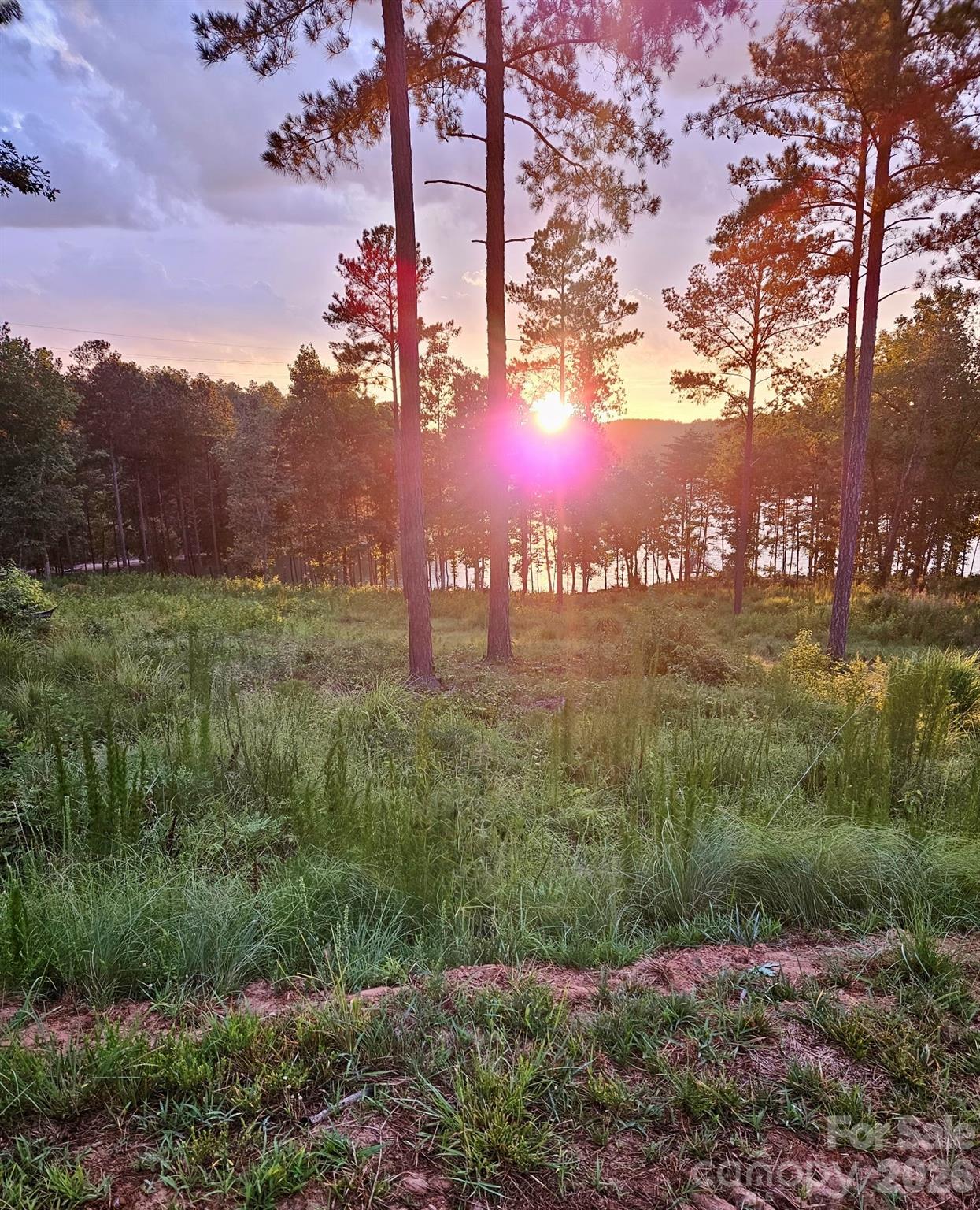 3067 Jumping Run Connelly Springs NC 28612