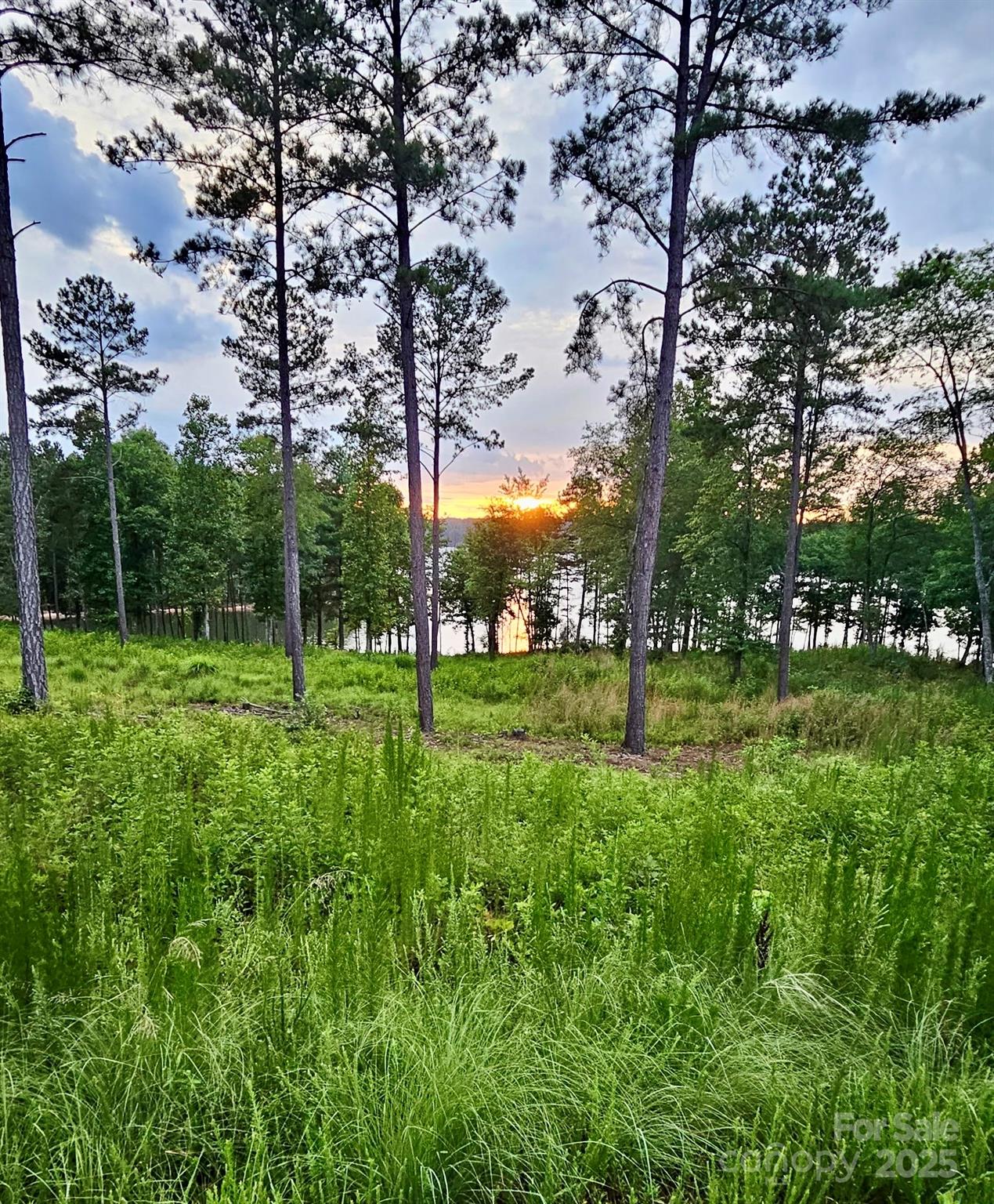 3067 Jumping Run Connelly Springs NC 28612