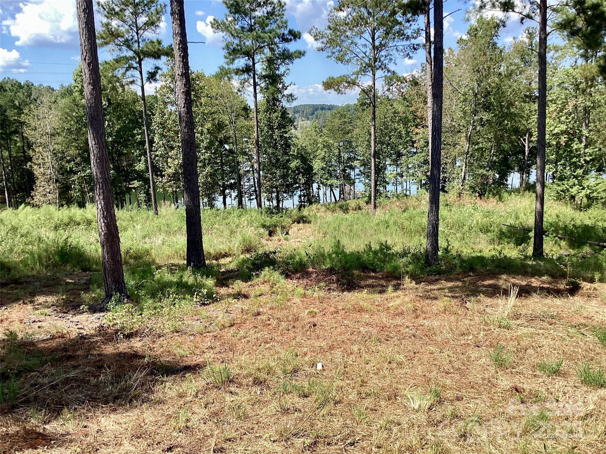 3067 Jumping Run Connelly Springs NC 28612