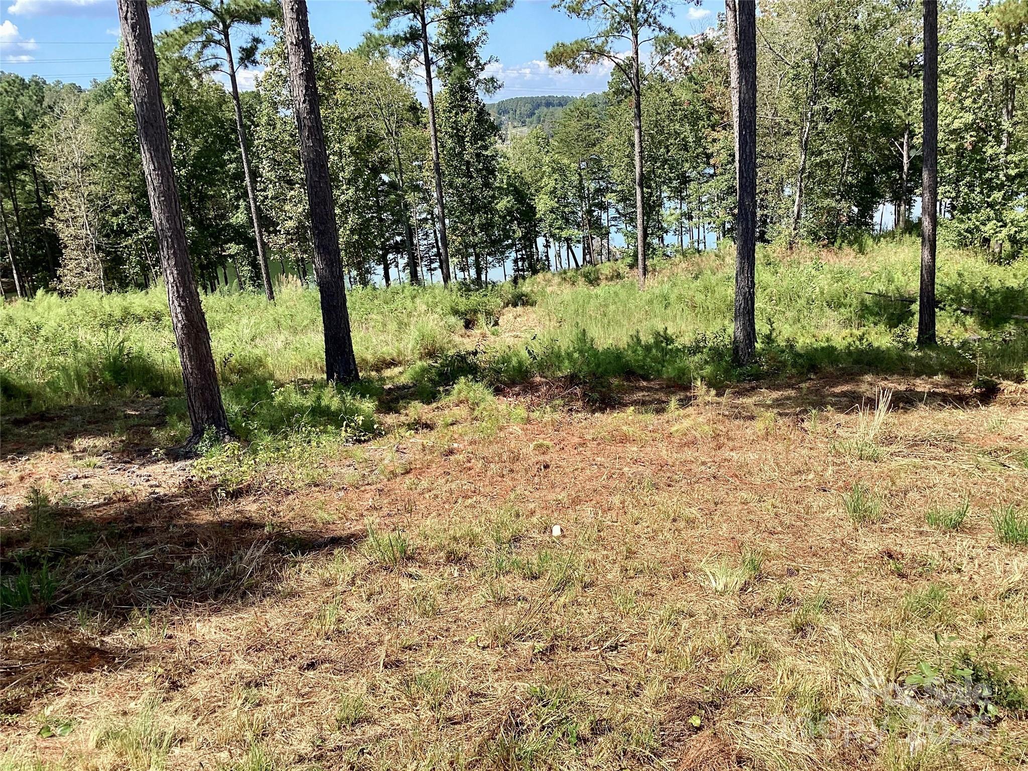 3067 Jumping Run Connelly Springs NC 28612