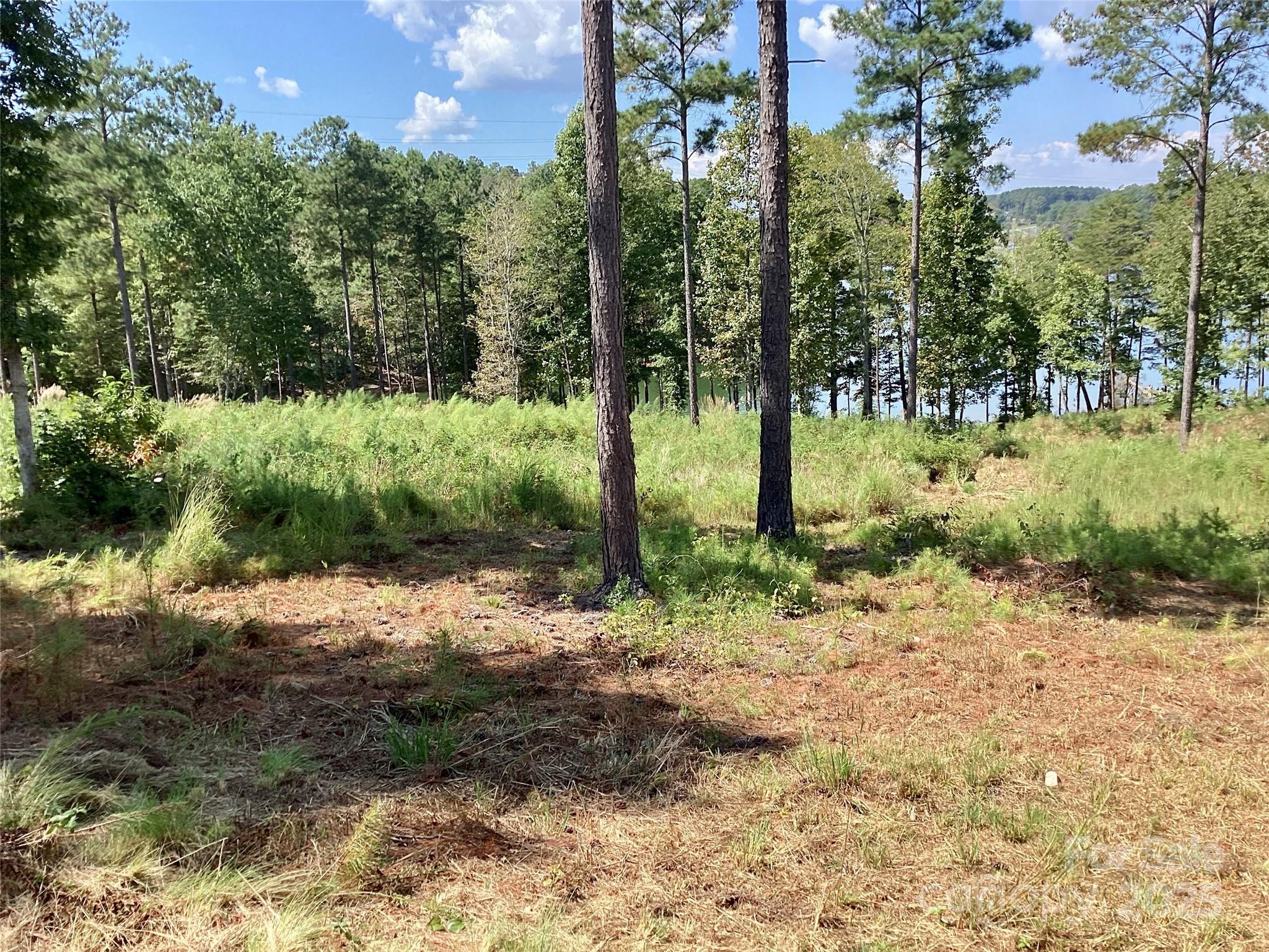 3067 Jumping Run Connelly Springs NC 28612