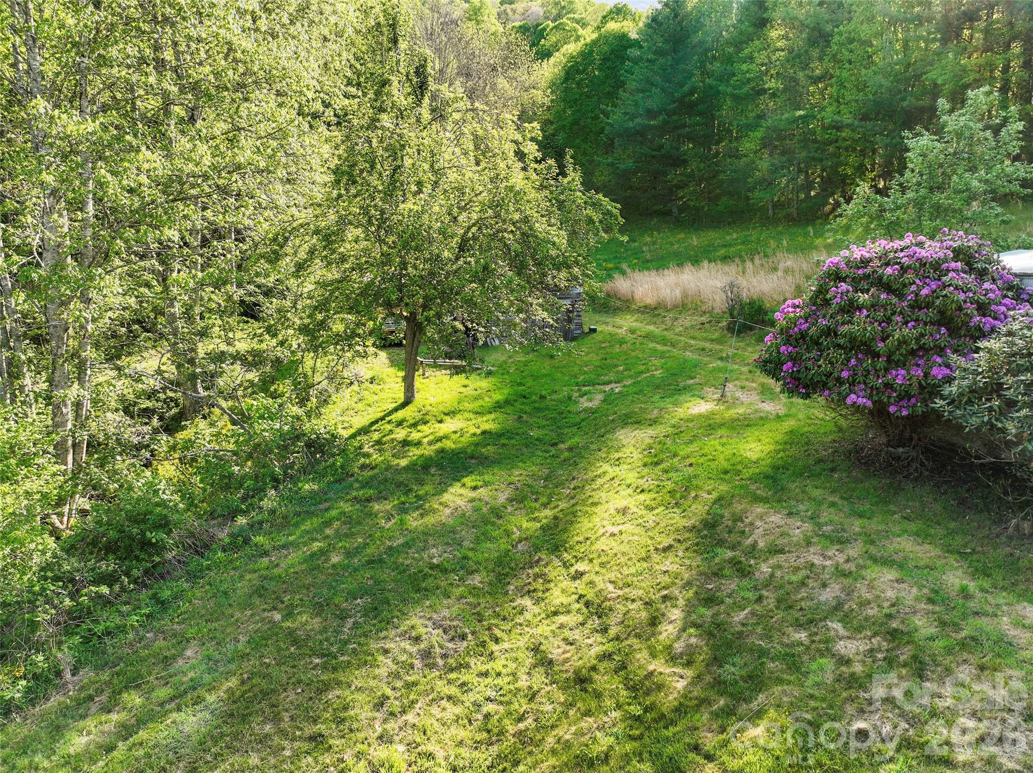 3454 Puncheon Fork Road Mars Hill NC 28754