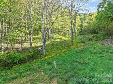 3454 Puncheon Fork Road Mars Hill NC 28754