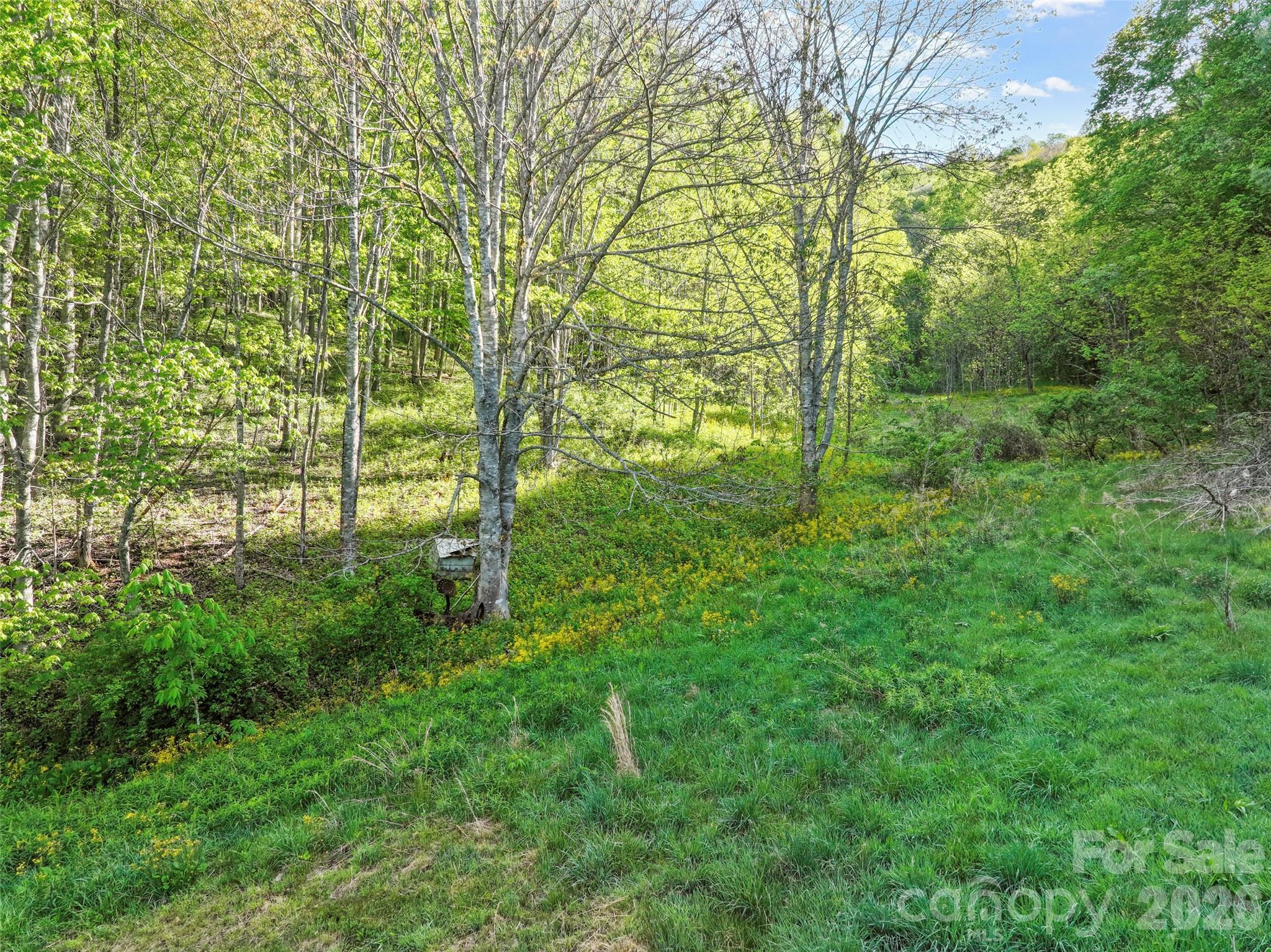 3454 Puncheon Fork Road Mars Hill NC 28754