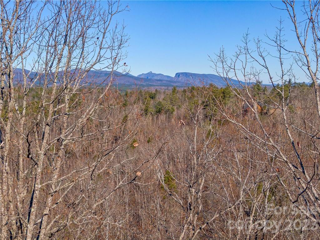 138 & 139 High Trail Drive Nebo NC 28761