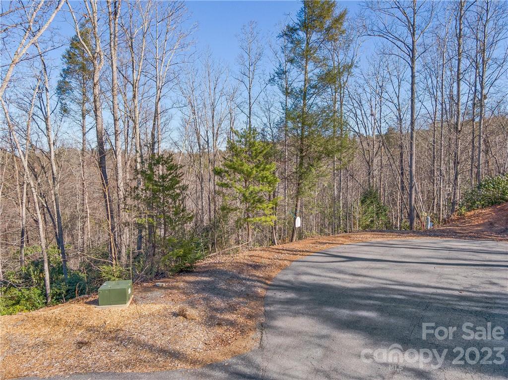 138 & 139 High Trail Drive Nebo NC 28761