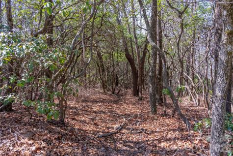 Lot 14 Lakeside Drive Lake Toxaway NC 28747