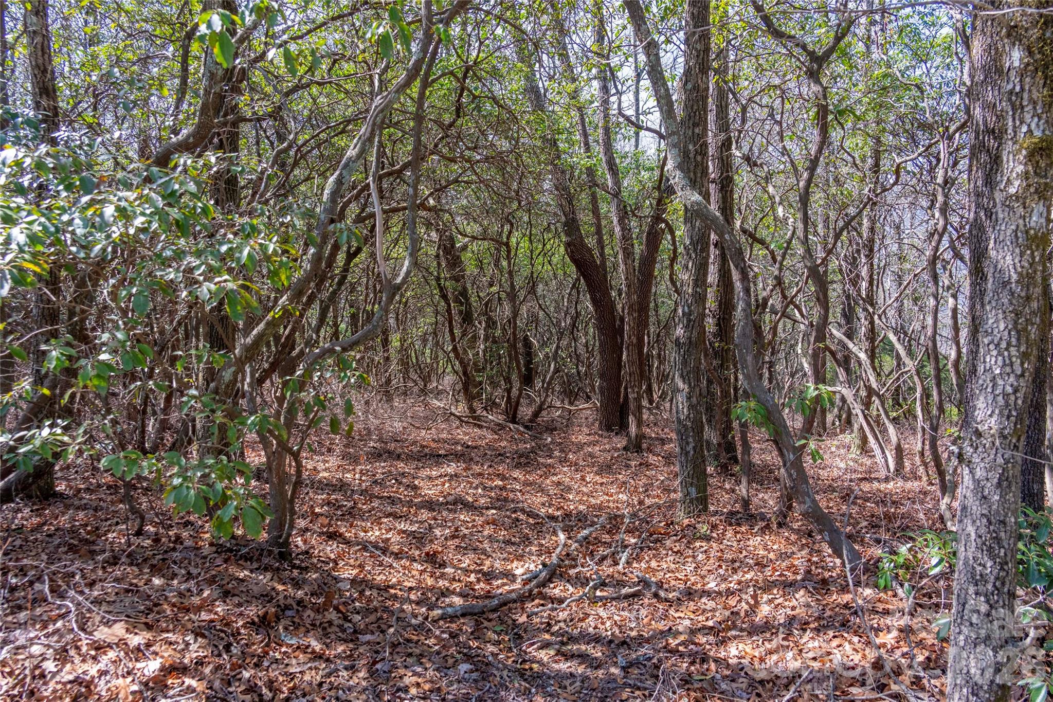 Lot 14 Lakeside Drive Lake Toxaway NC 28747