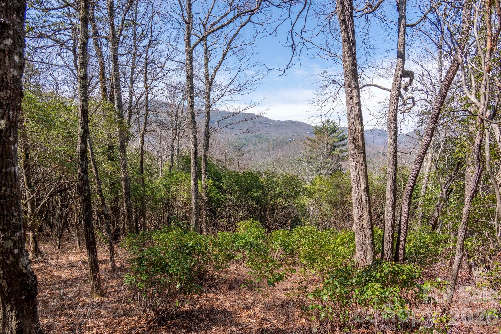 Lot 14 Lakeside Drive Lake Toxaway NC 28747