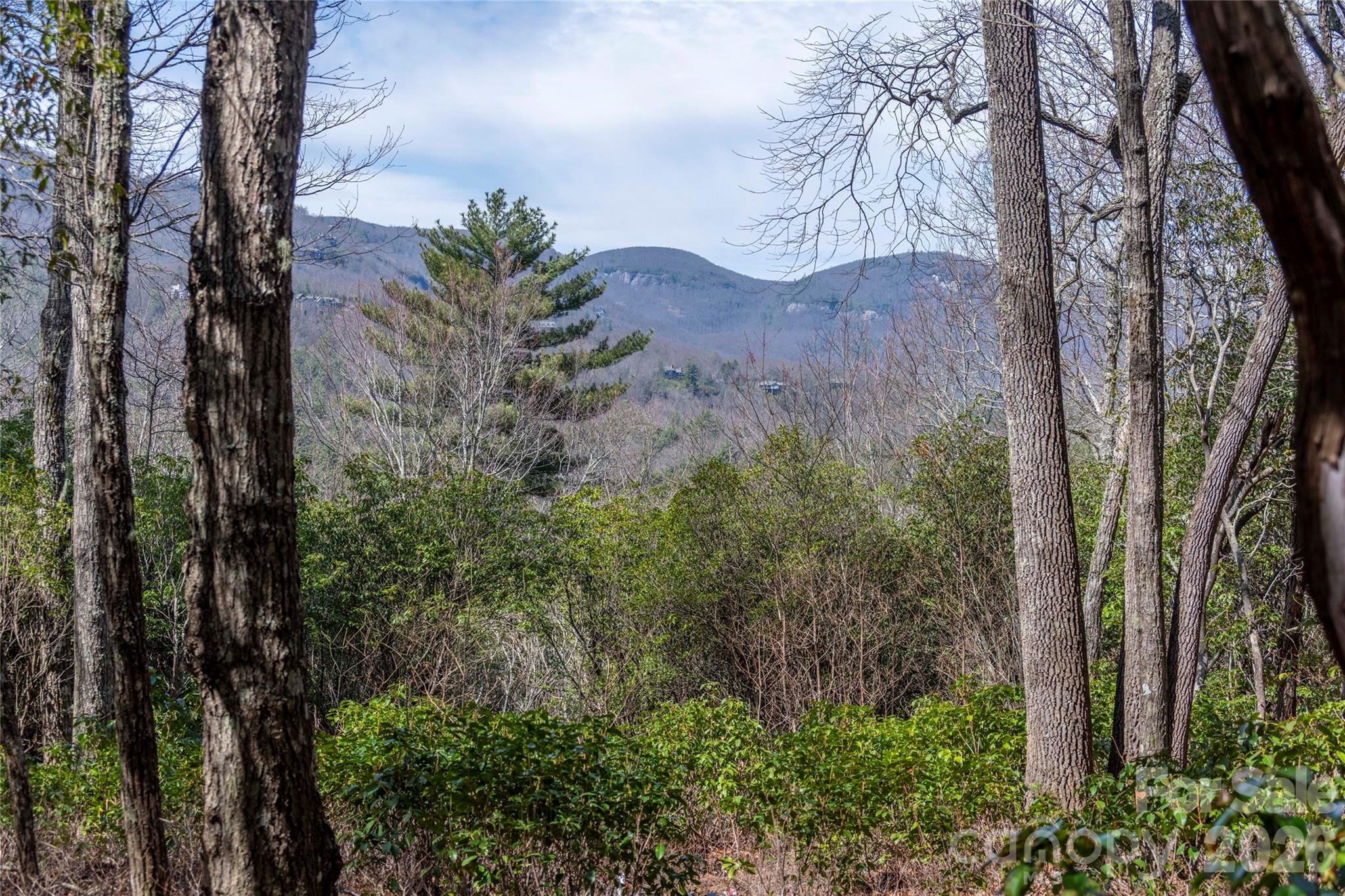 Lot 14 Lakeside Drive Lake Toxaway NC 28747
