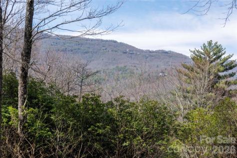 Lot 14 Lakeside Drive Lake Toxaway NC 28747
