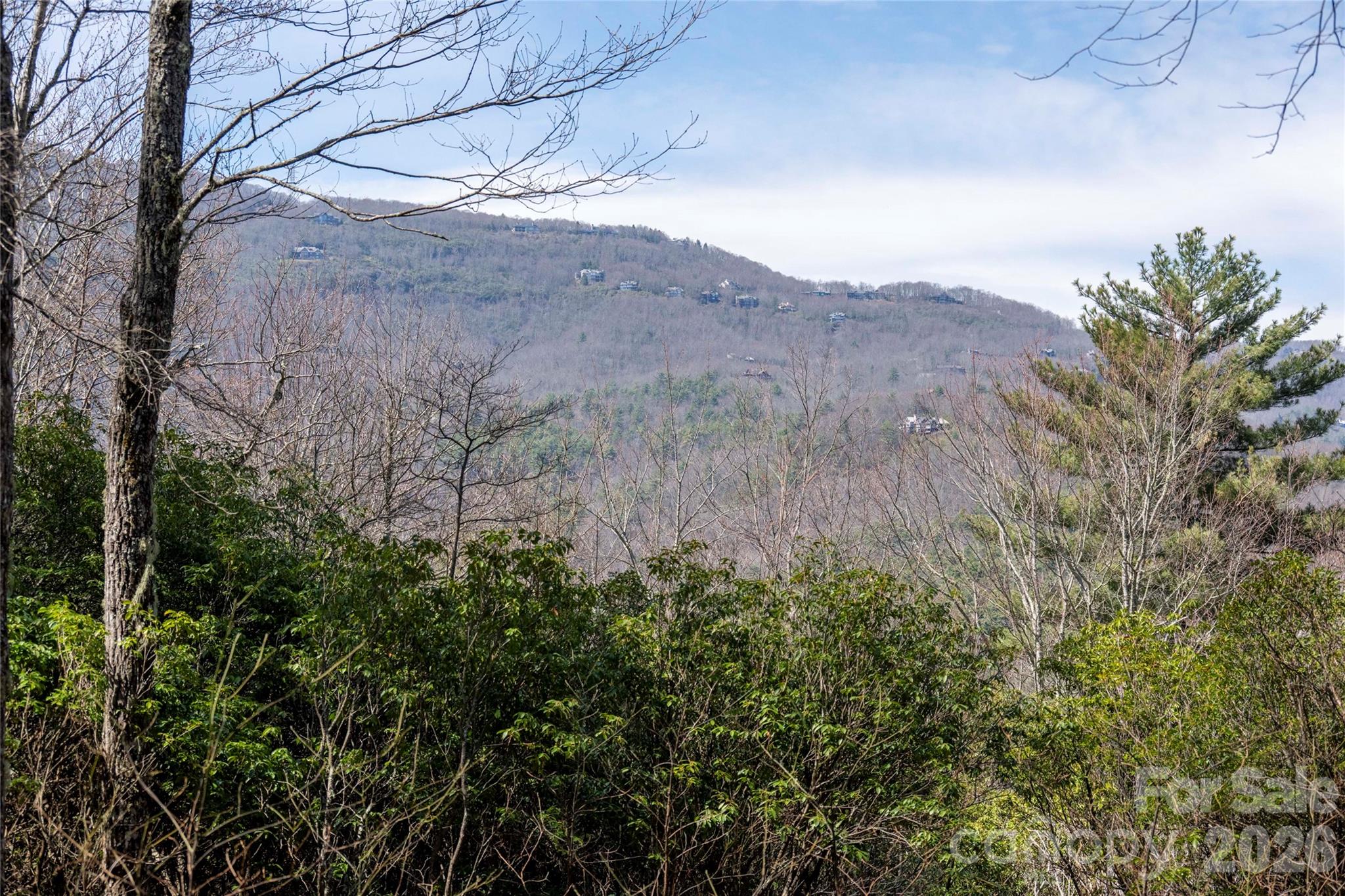 Lot 14 Lakeside Drive Lake Toxaway NC 28747