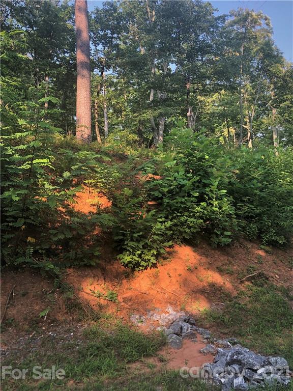 0 Lure Ridge Drive Lake Lure NC 28746