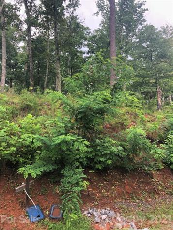 0 Lure Ridge Drive Lake Lure NC 28746